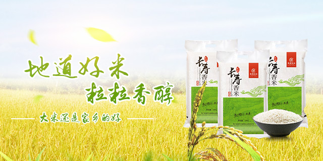 怀化市金贡油脂有限公司_金贡油脂|怀化食用植物油销售|怀化大米销售